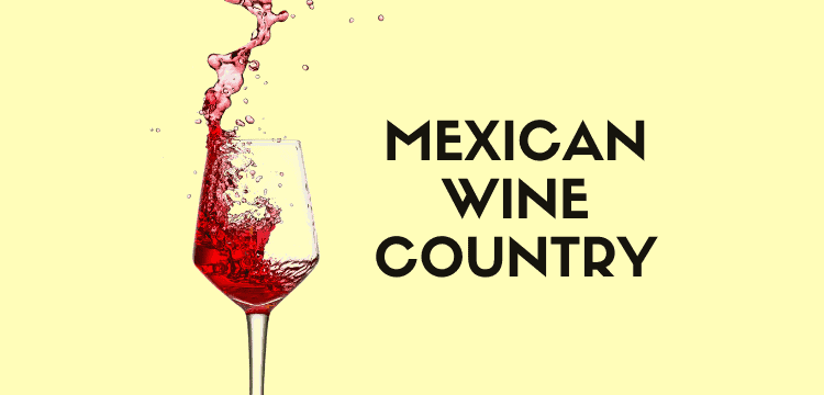 mexican wine country