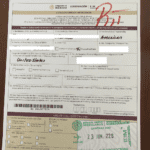 Digital FMMs in Mexico (Aka eFMM) - Mexico Relocation Guide