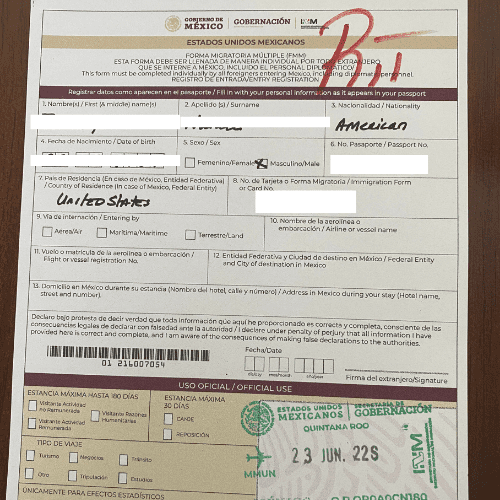 Digital FMMs In Mexico Aka EFMM Mexico Relocation Guide   Temporary Resident Fmm Leaving Mexico 