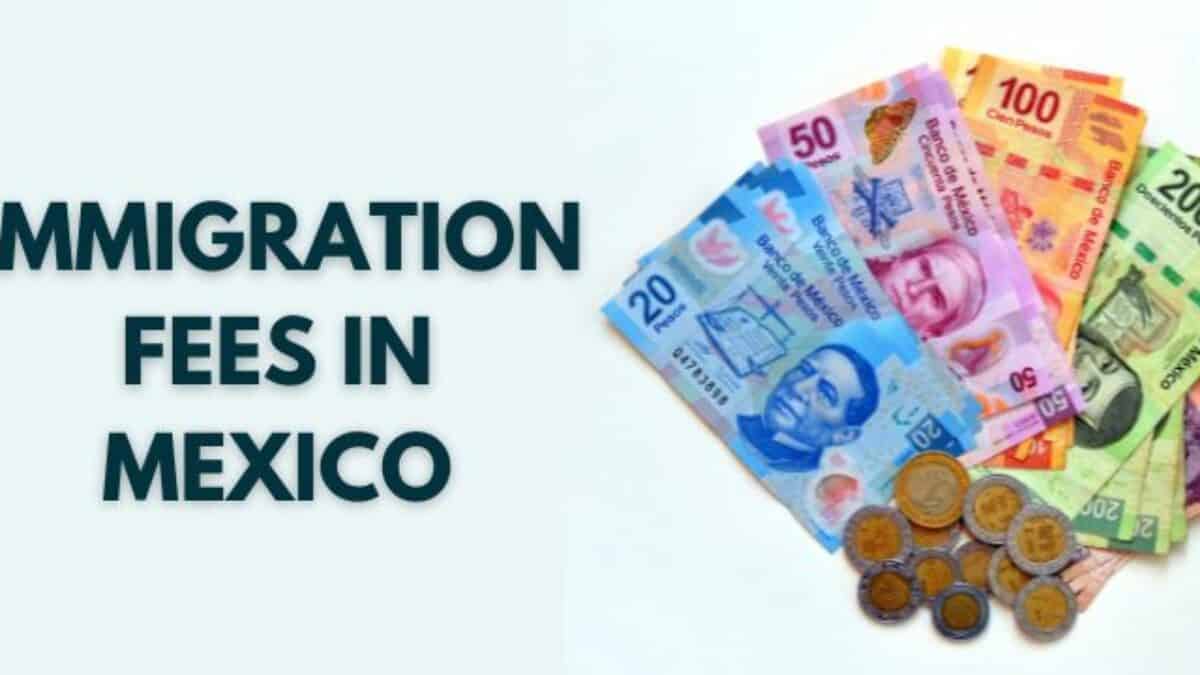 Immigration Fees in Mexico - 2026 - Mexico Relocation Guide