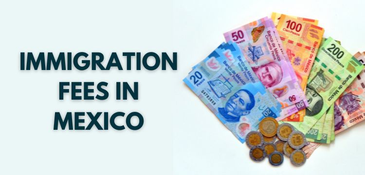 IMMIGRATION FEES IN MEXICO