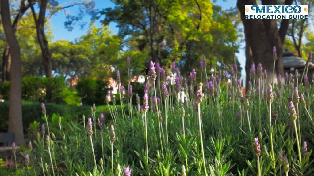 Tlaxcala has very nice temperate weather year round